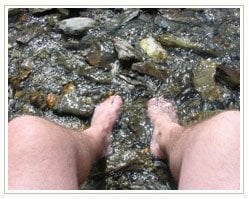 Slider image (6) Laser Foot Surgery Specialist